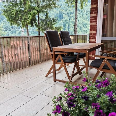 Criss Apartament Sinaia Buitenkant foto