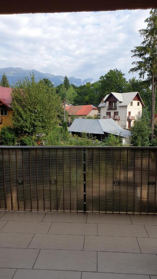 Criss Apartament Sinaia Buitenkant foto