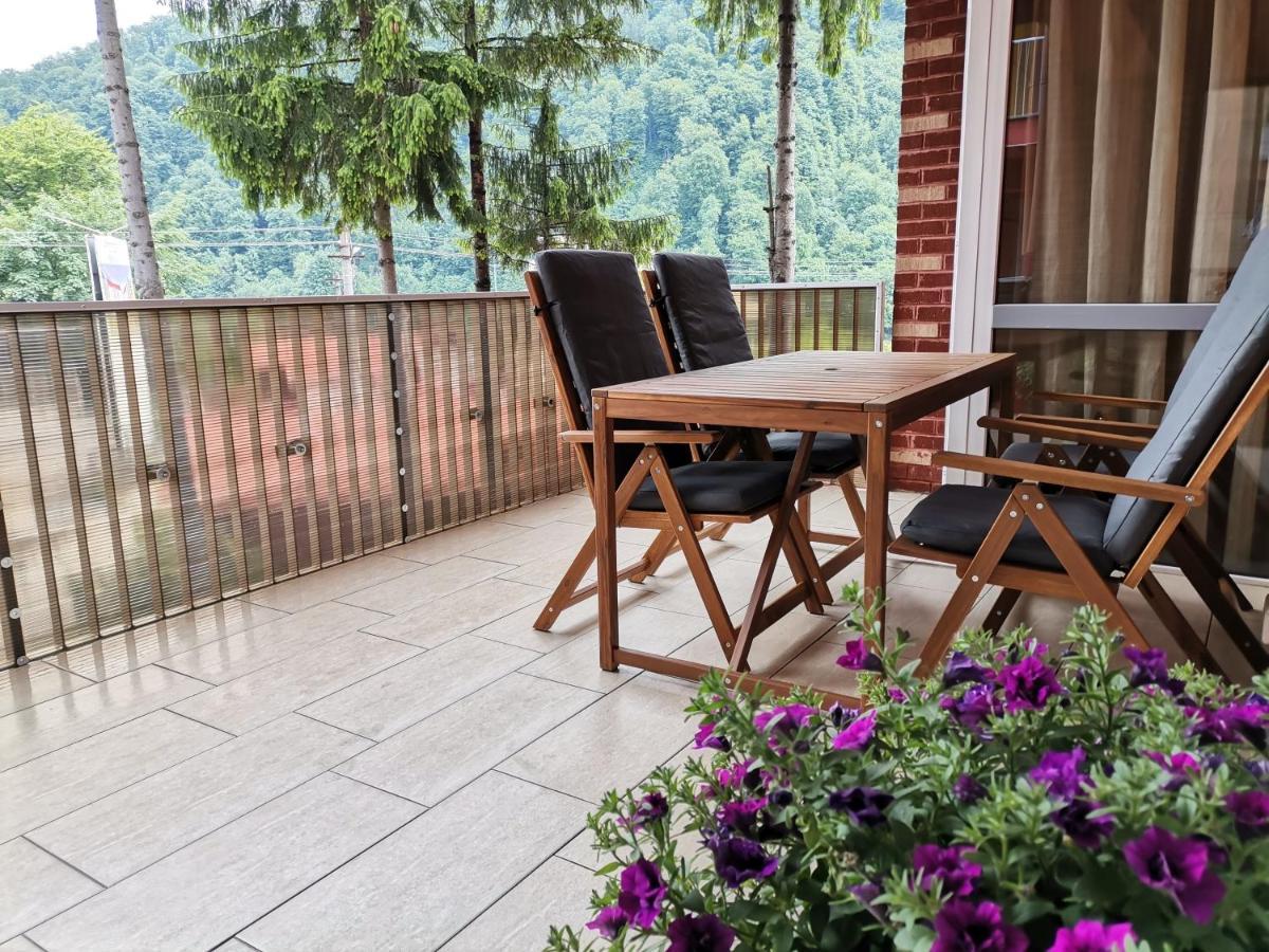 Criss Apartament Sinaia Buitenkant foto